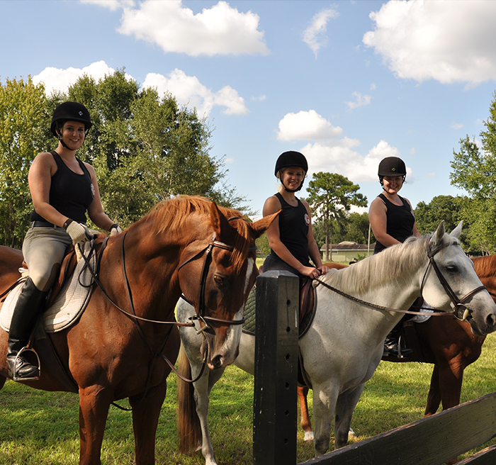 Equestrian