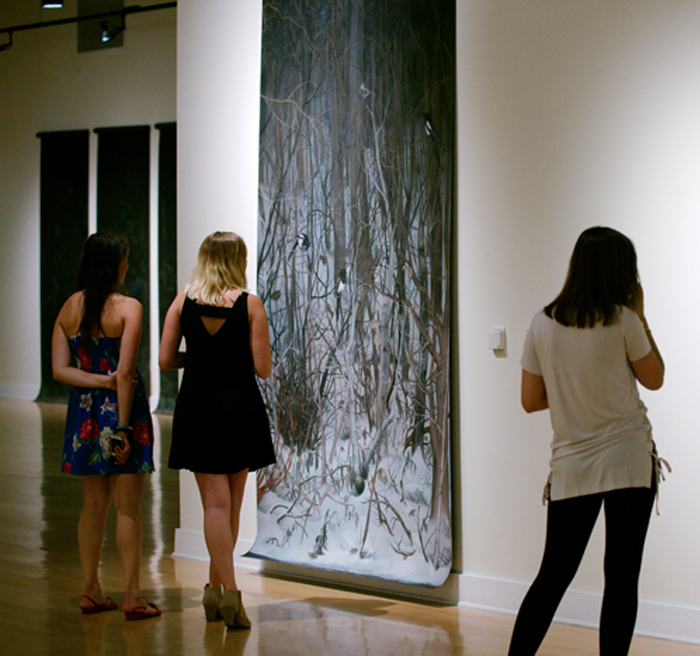 looking at art 