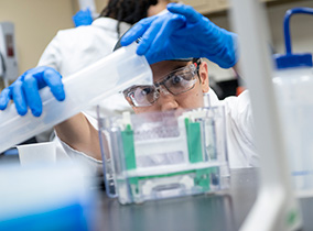 Biochemistry Students pouring liquid