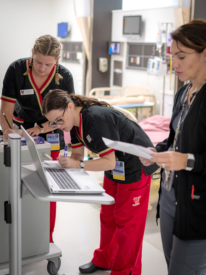 Nursing Students working and studying
