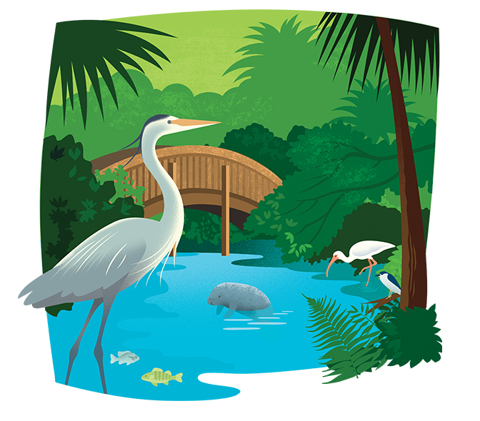 Florida recommendations 