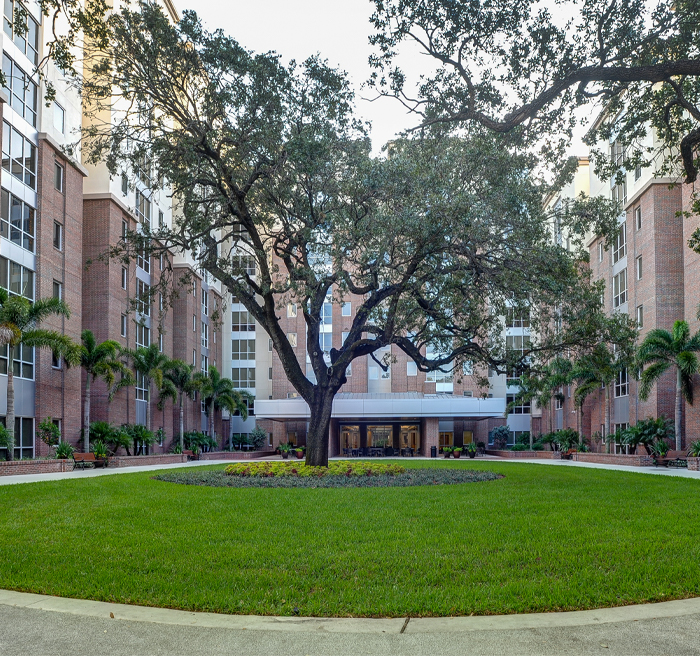 Palm courtyard 