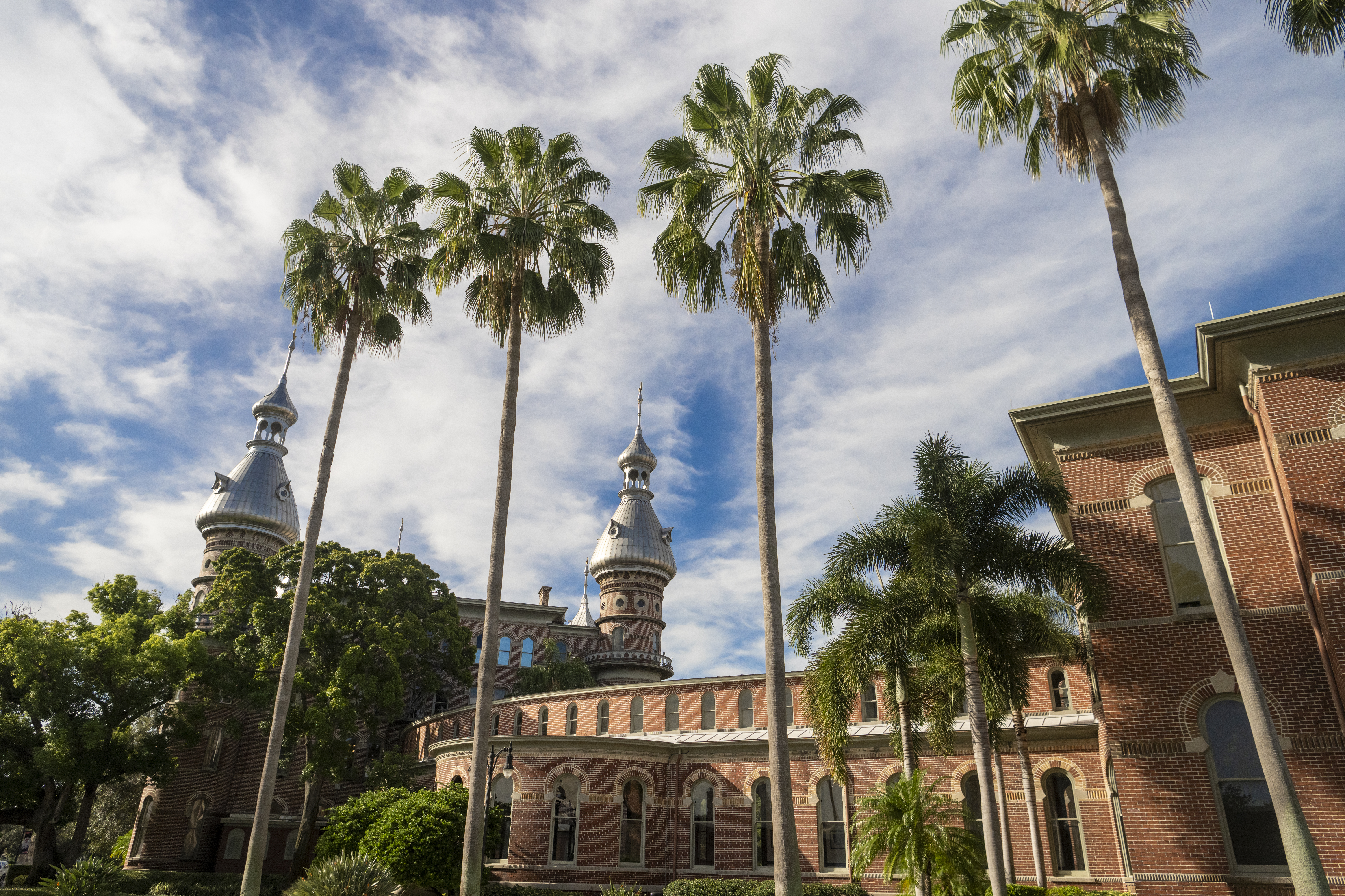 In Addition To Top-Tier Ranking, UTampa Is Highlighted by U.S. News for Top Undergraduate Business, Nursing and Psychology Programs