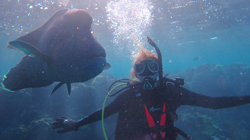 Marine Biology Students Dive the Great Barrier Reef
