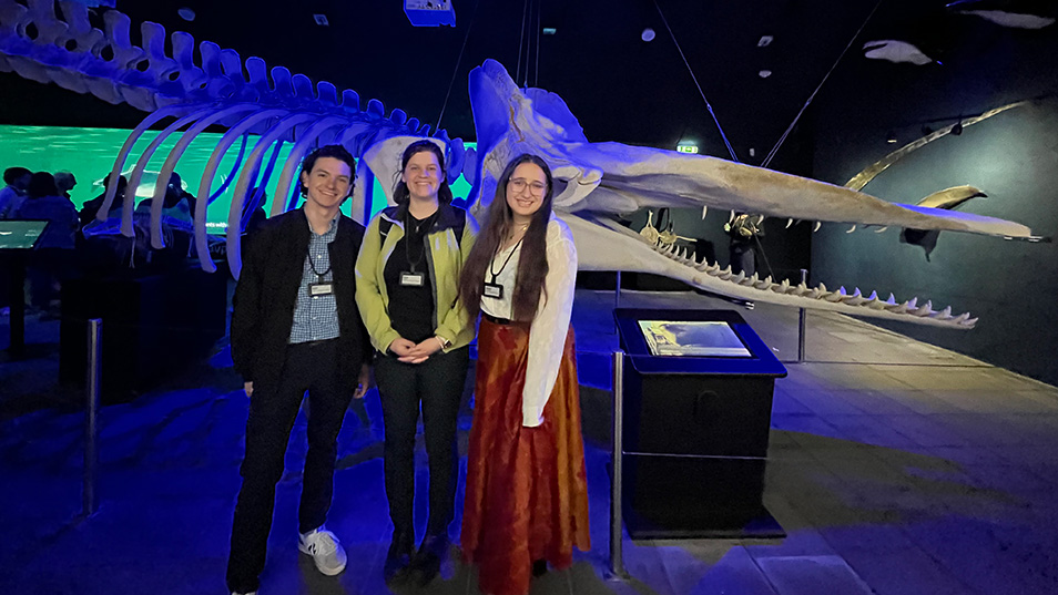 Research Duo Finds Behavioral Patterns in Blue Whales through their Songs